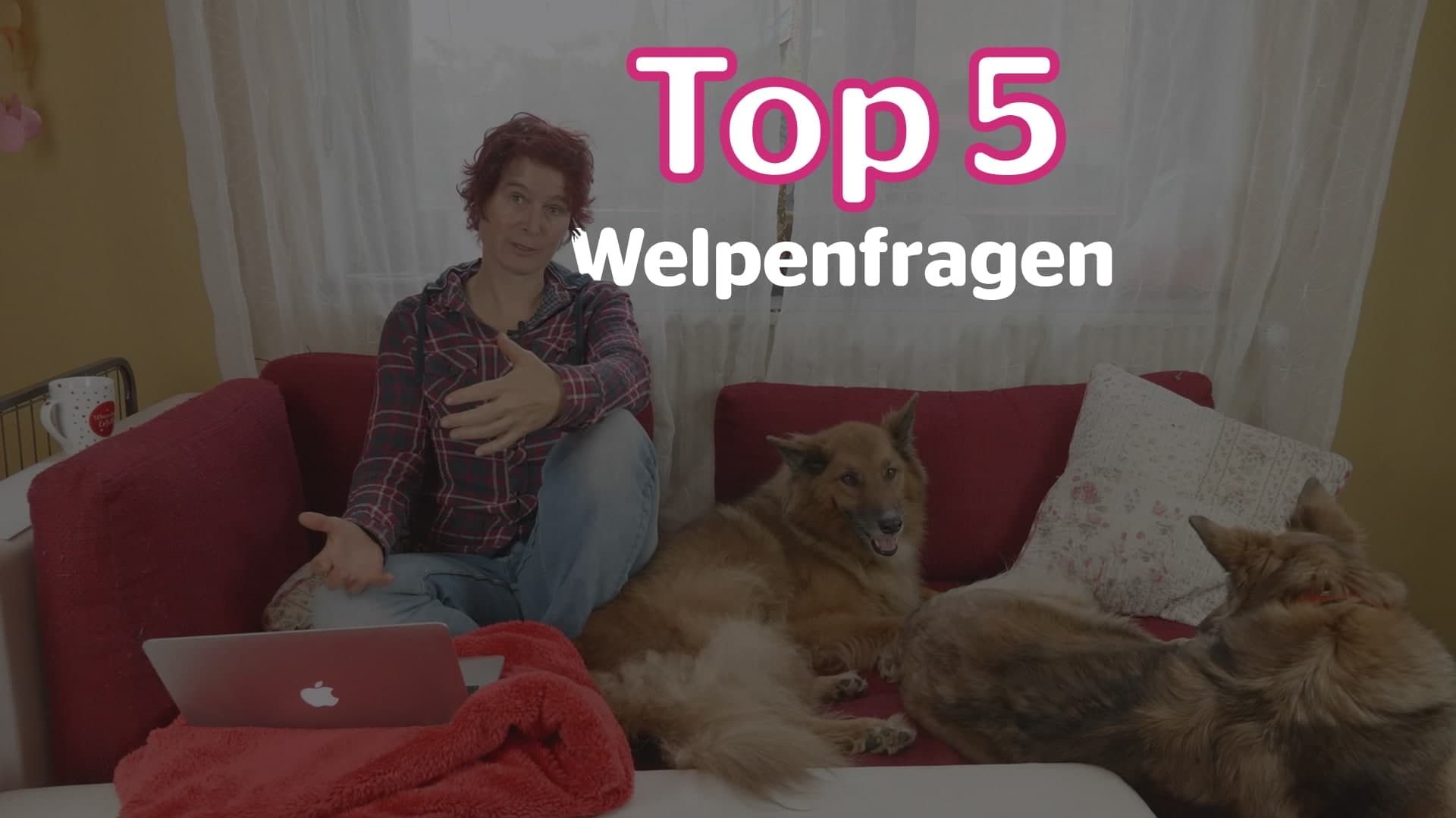 Top 5 Welpenfragen