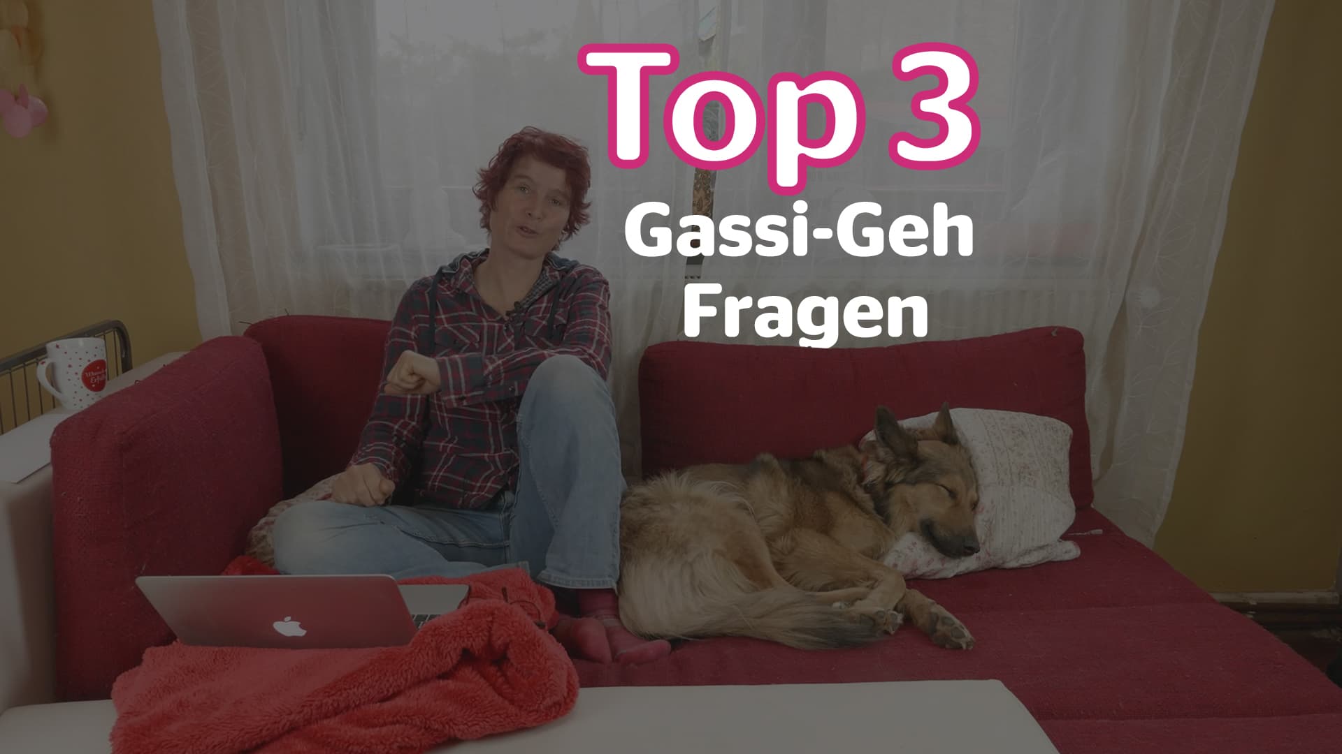 Top 3 - Gassi-Geh Fragen