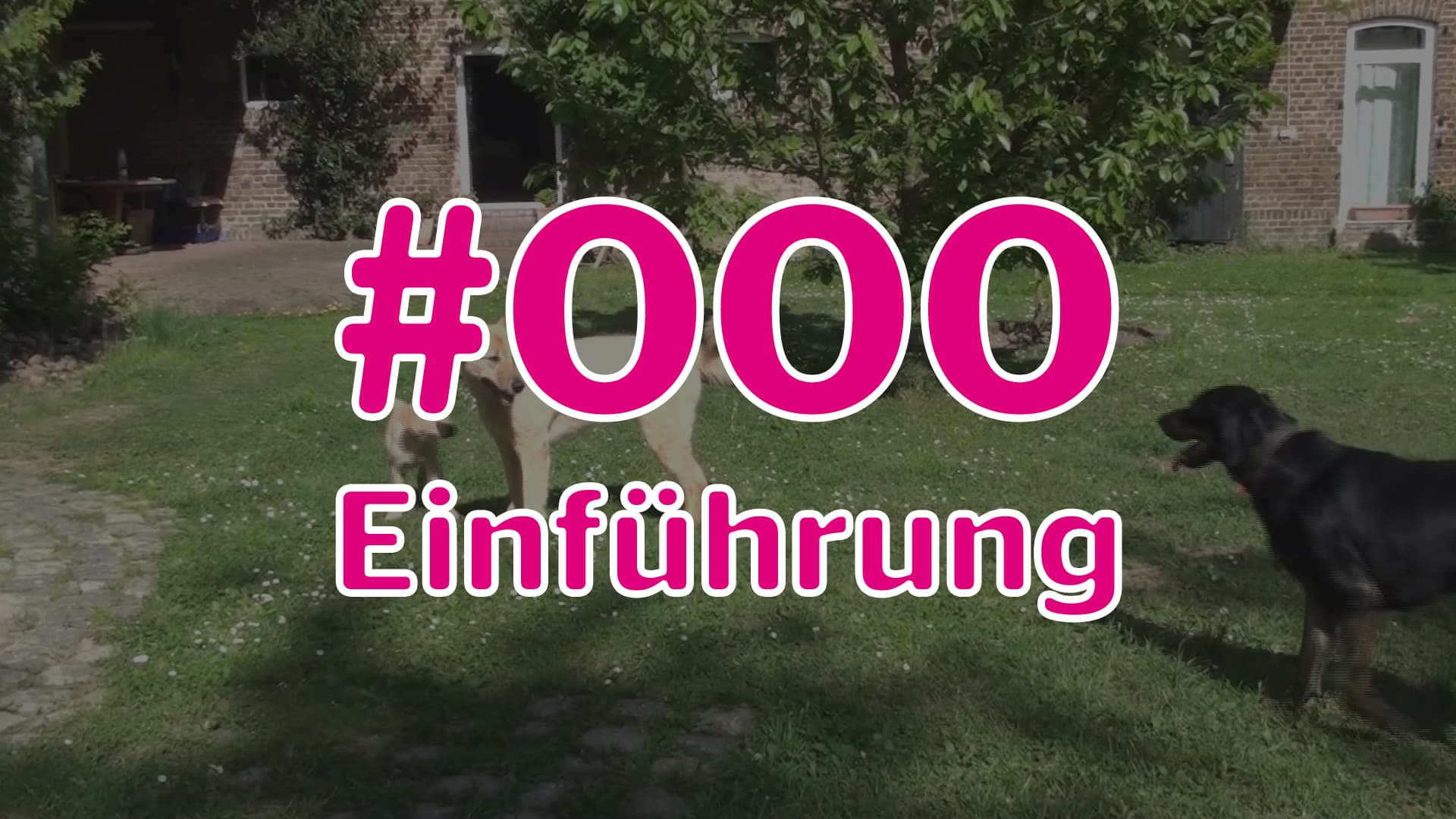 #000 - Wissens-Check - Einführung