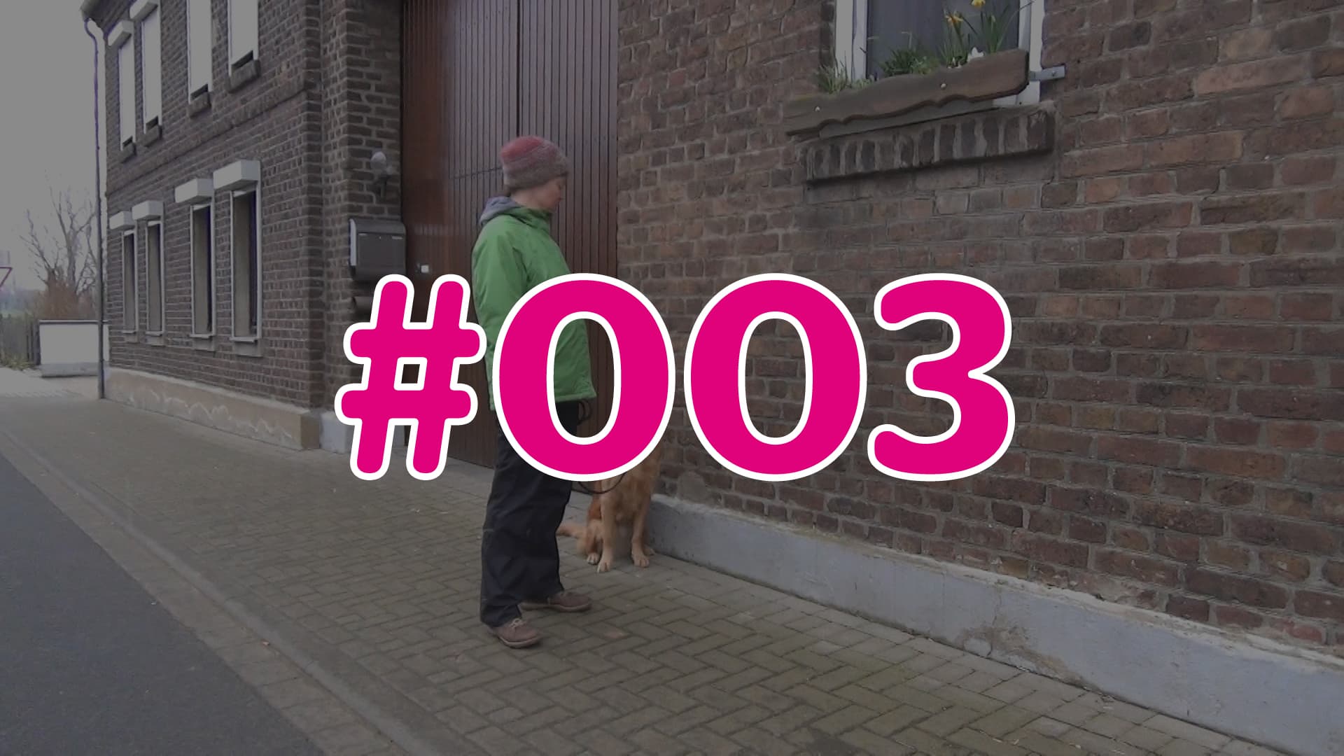 #003 - Wissens-Check