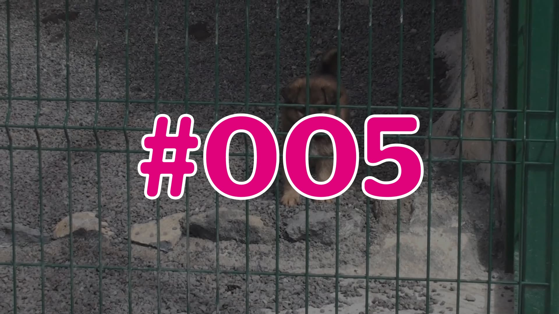 #005 - Wissens-Check