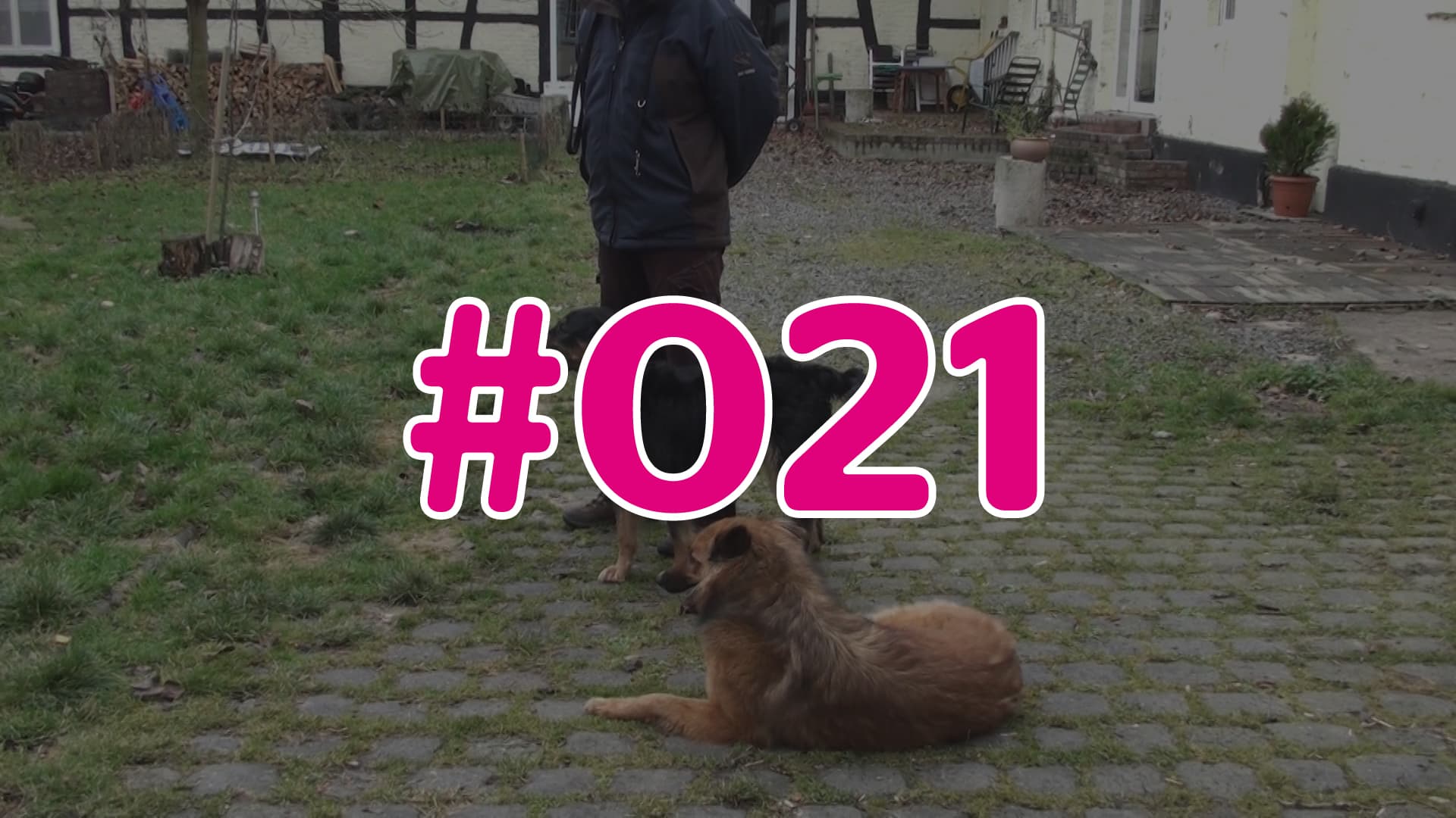 #021 - Wissens-Check