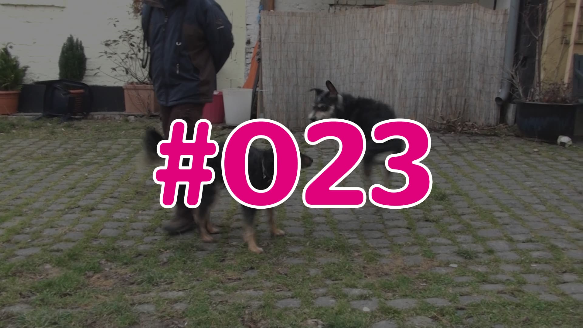 #023 - Wissens-Check