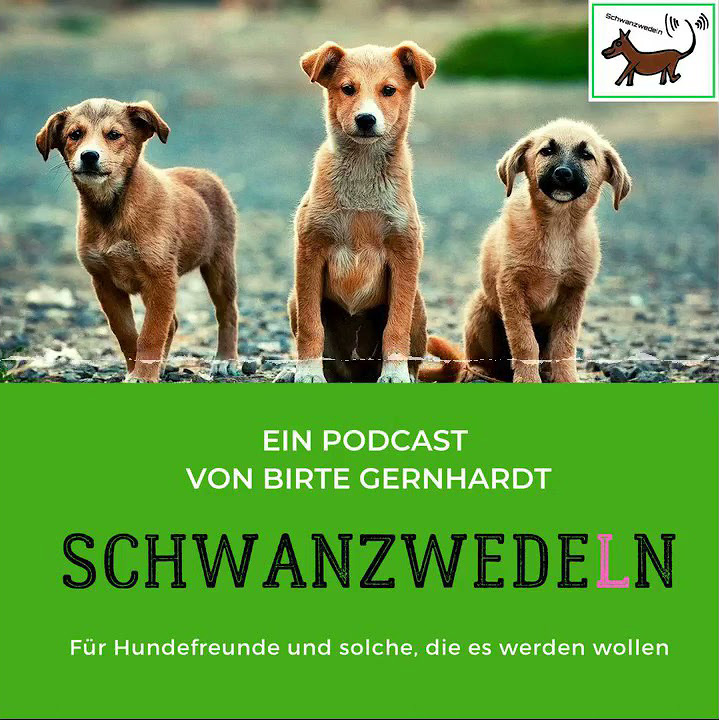 Podcast Schwanzwedeln